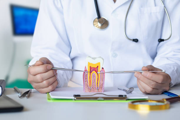 Best Emergency Dental Filling Replacement  in Bridgeport, WA